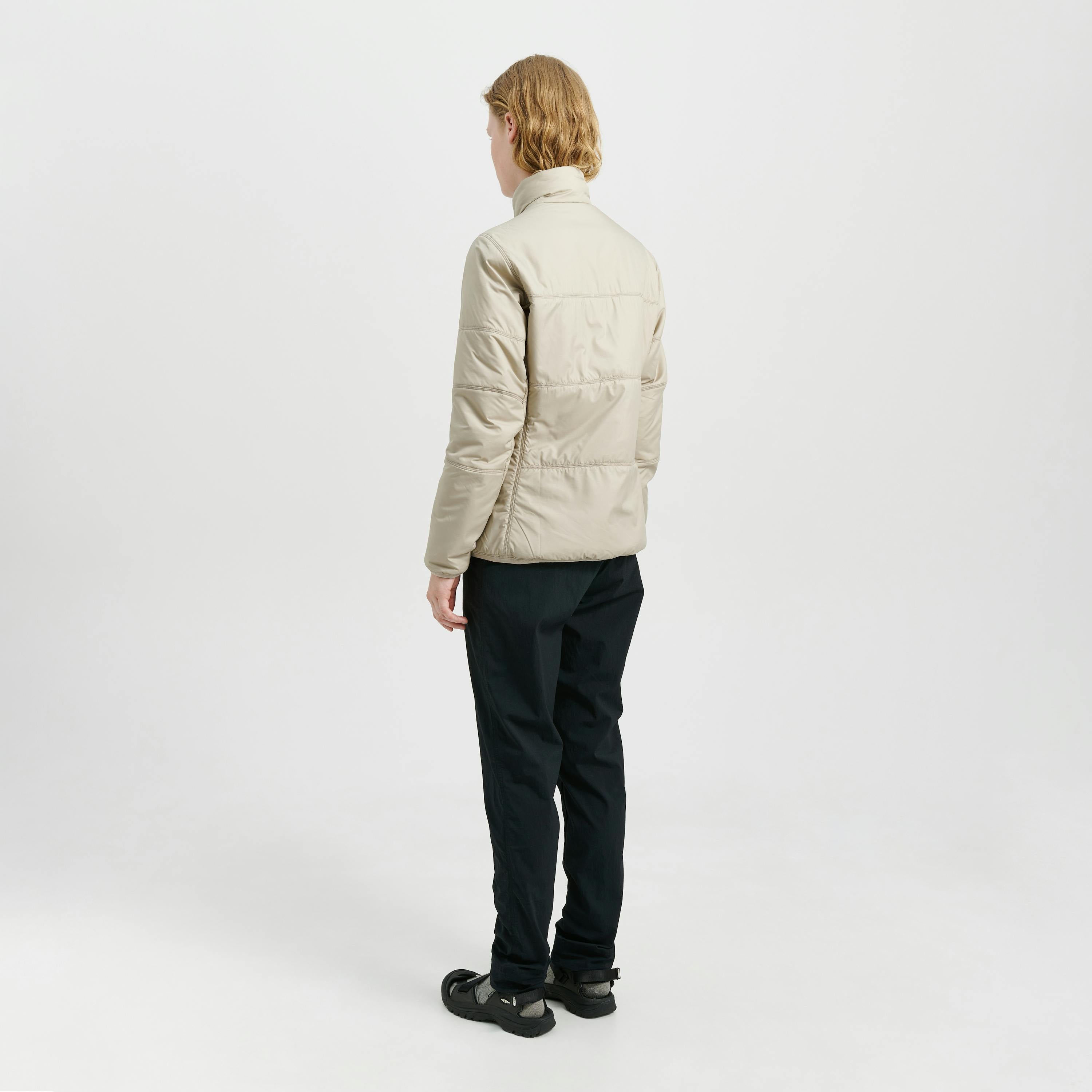 Vatnajökull Dark Arctic Fox