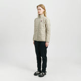 Vatnajökull Dark Arctic Fox