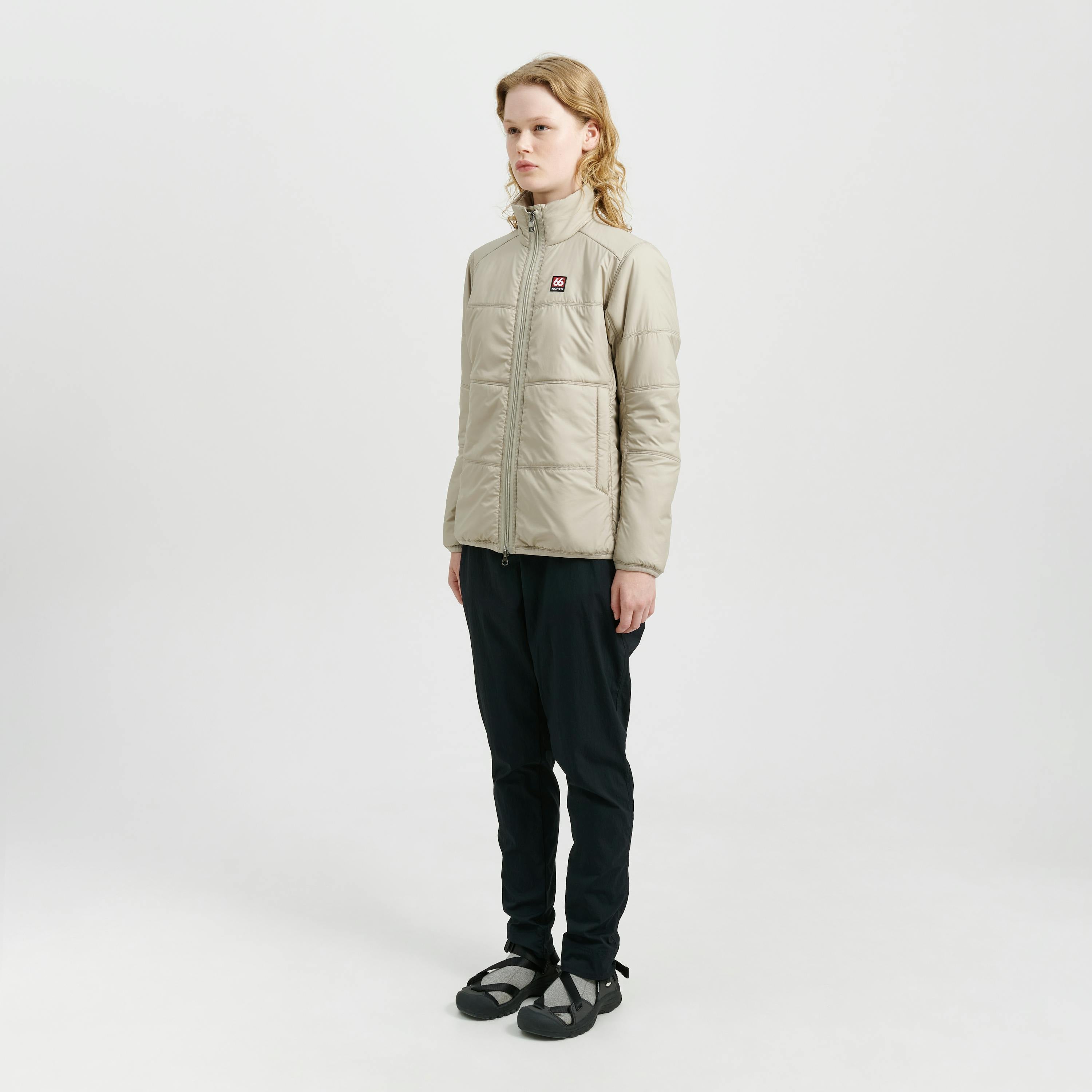 Vatnajökull Dark Arctic Fox