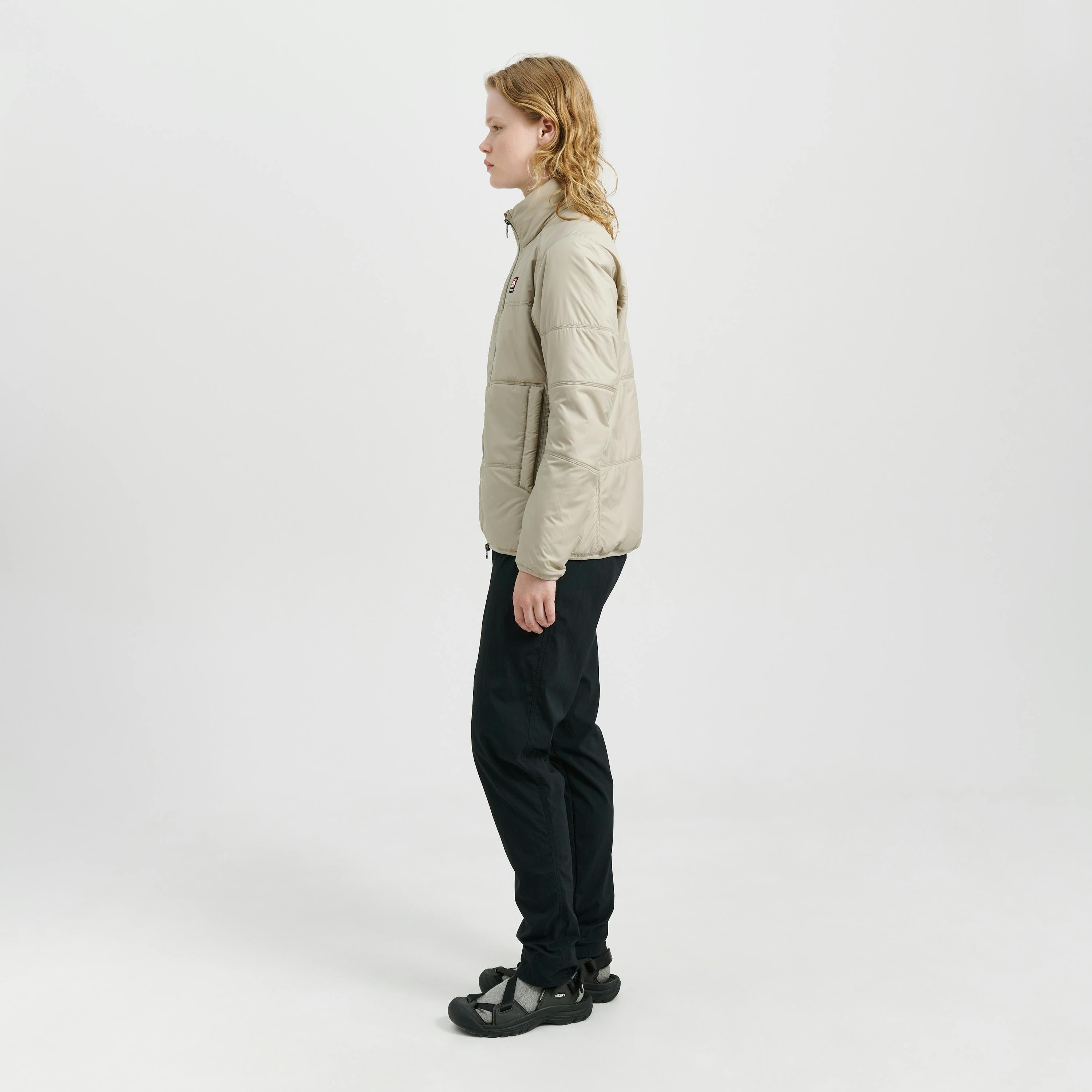 Vatnajökull Dark Arctic Fox