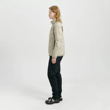 Vatnajökull Dark Arctic Fox