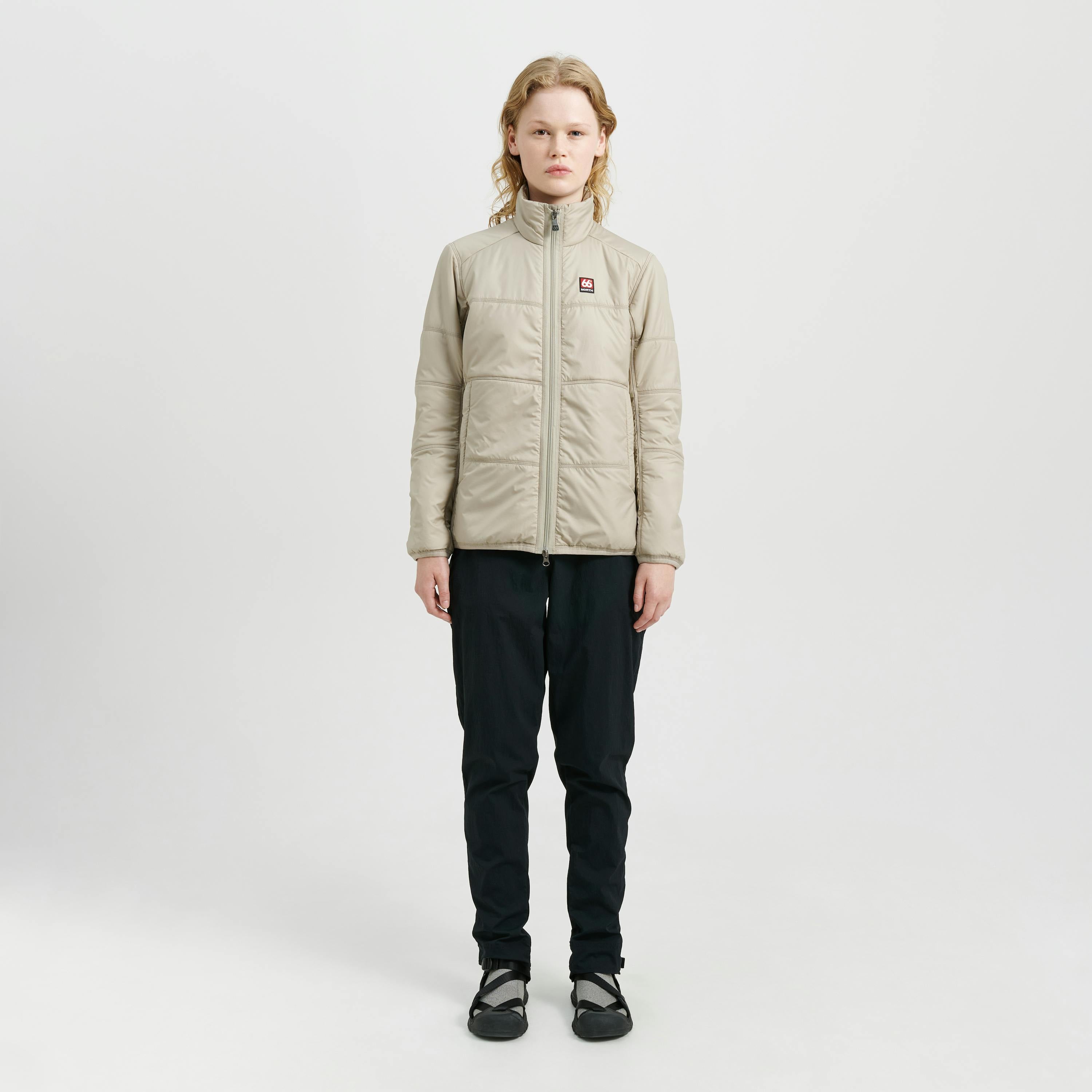 Vatnajökull Dark Arctic Fox