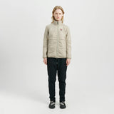 Vatnajökull Dark Arctic Fox