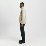 Vatnajökull Dark Arctic Fox