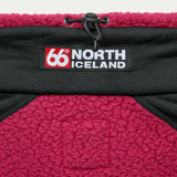 Tindur Blueberry Wine