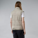 Vatnajökull Dark Arctic Fox