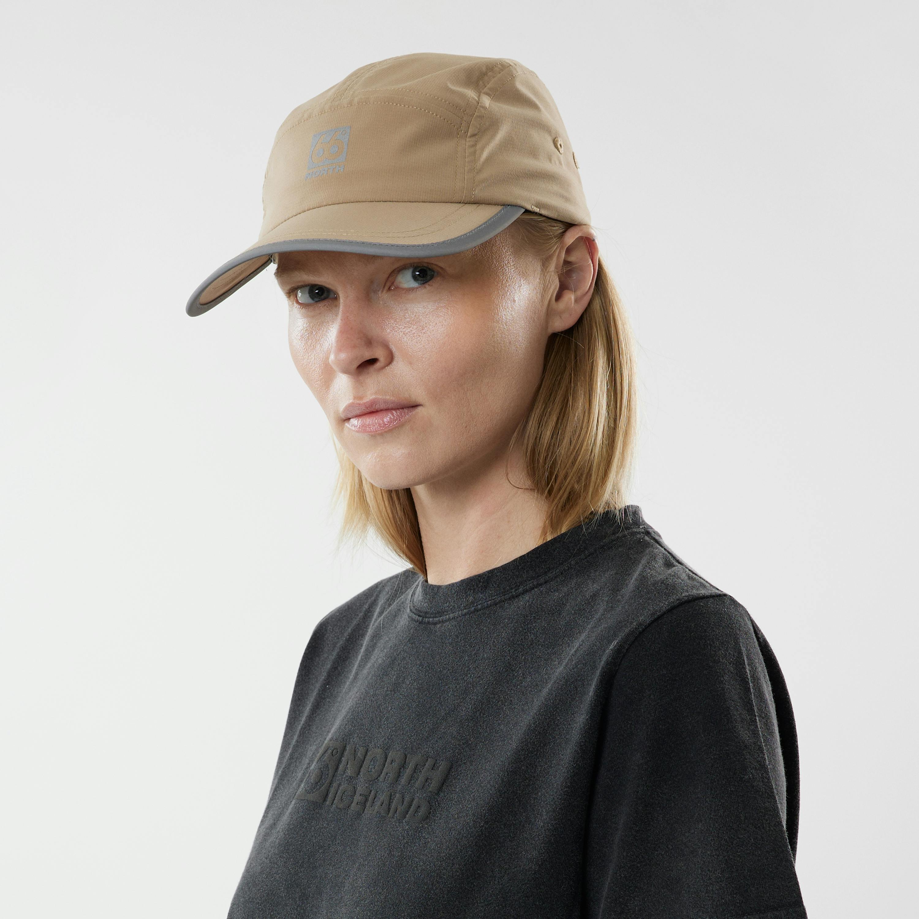 Landmannalaugar  Brown Birch Bolete