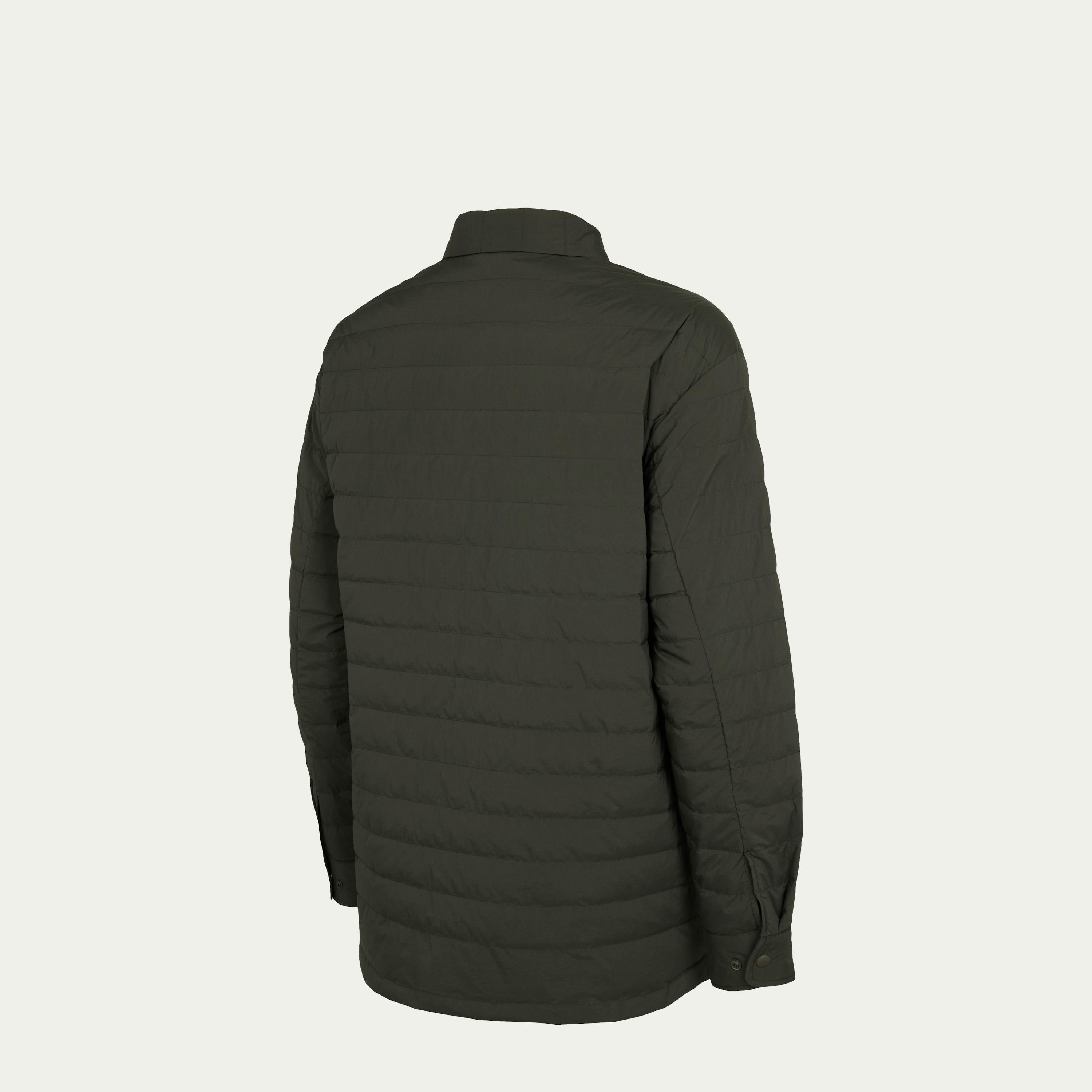 Kjölur Alpine Grimmia