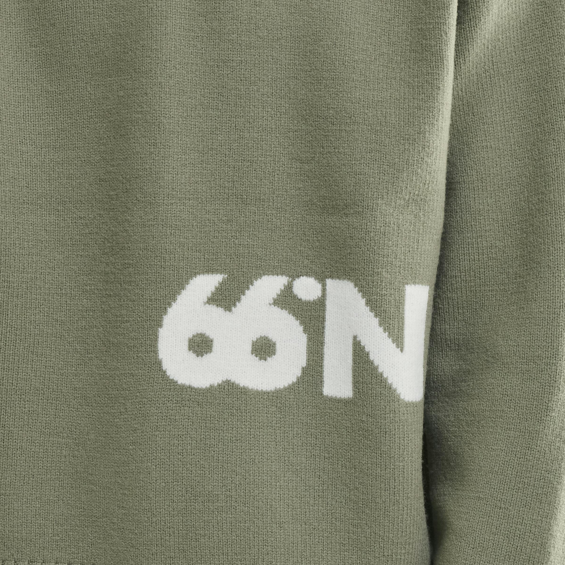 Norðurmýri Shield Lichen