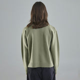 Norðurmýri Shield Lichen