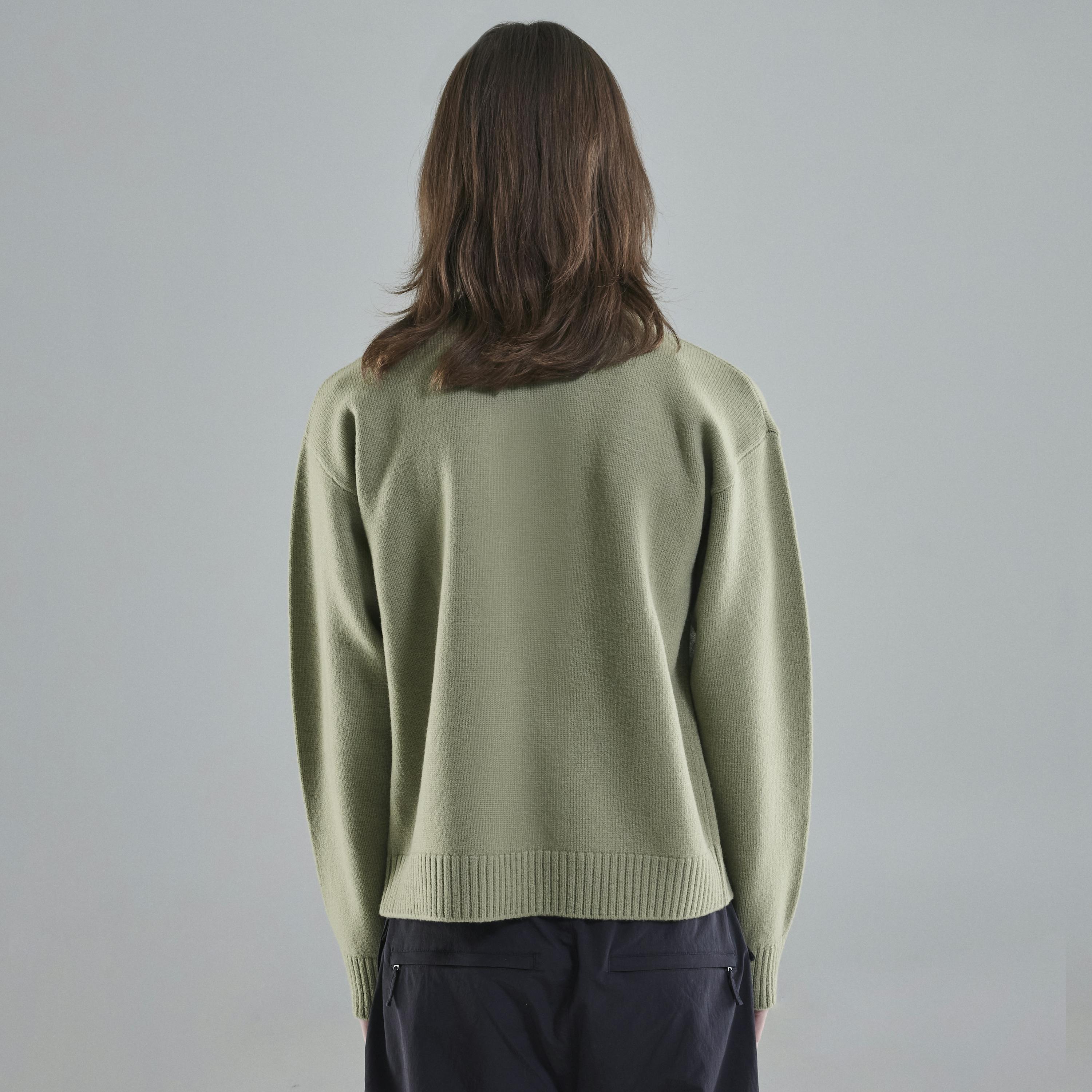 Norðurmýri Shield Lichen