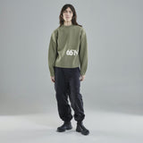 Norðurmýri Shield Lichen