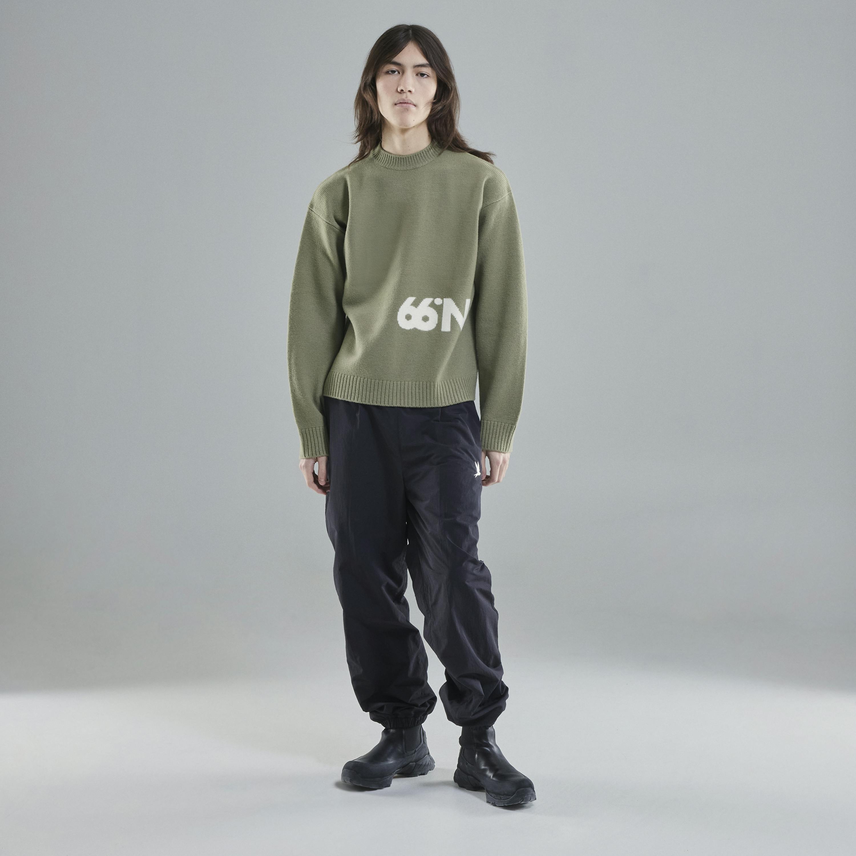 Norðurmýri Shield Lichen