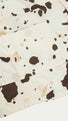 Grótta Eggshell Print