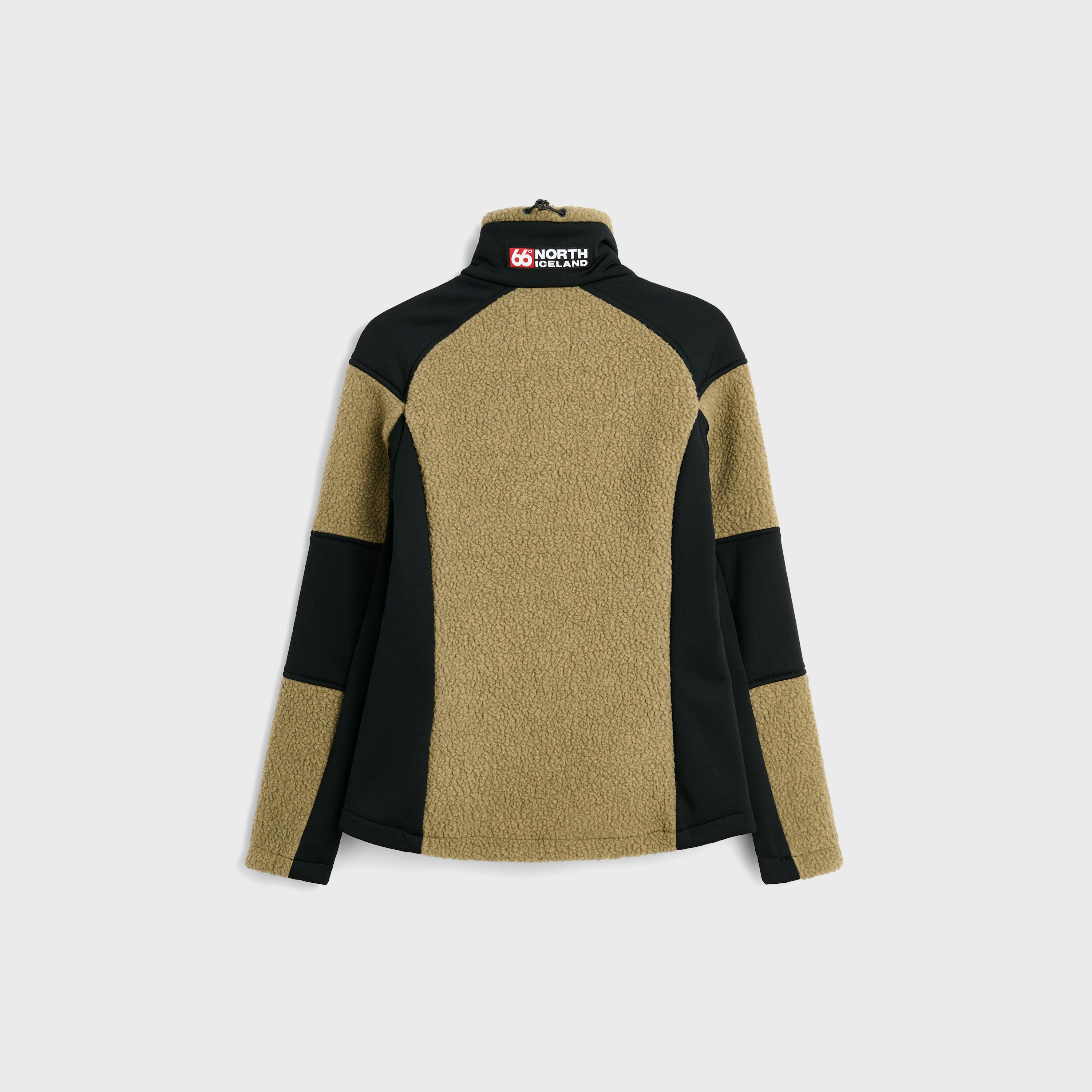 Tindur Brown Birch Bolete