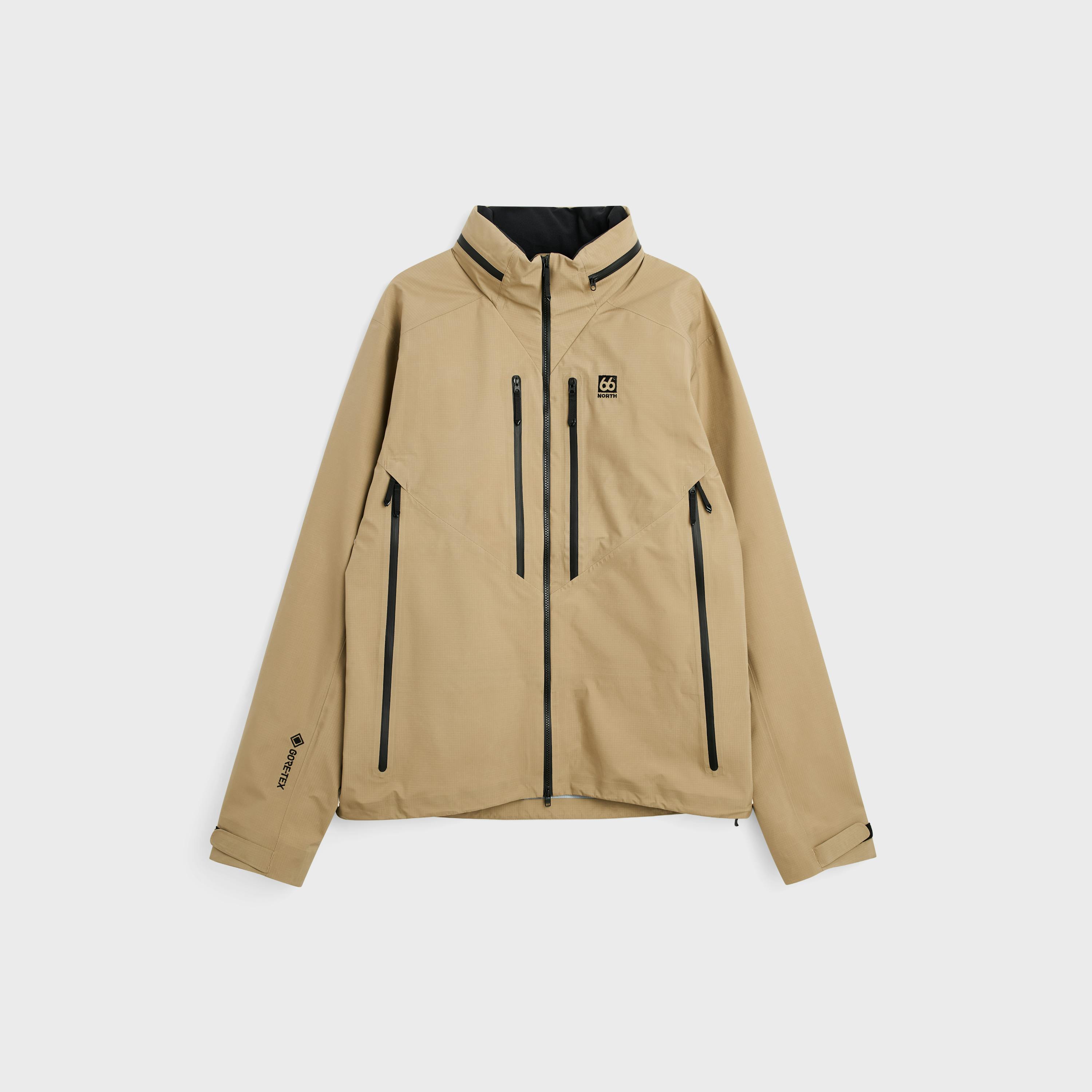 Ljósufjöll Brown Birch Bolete