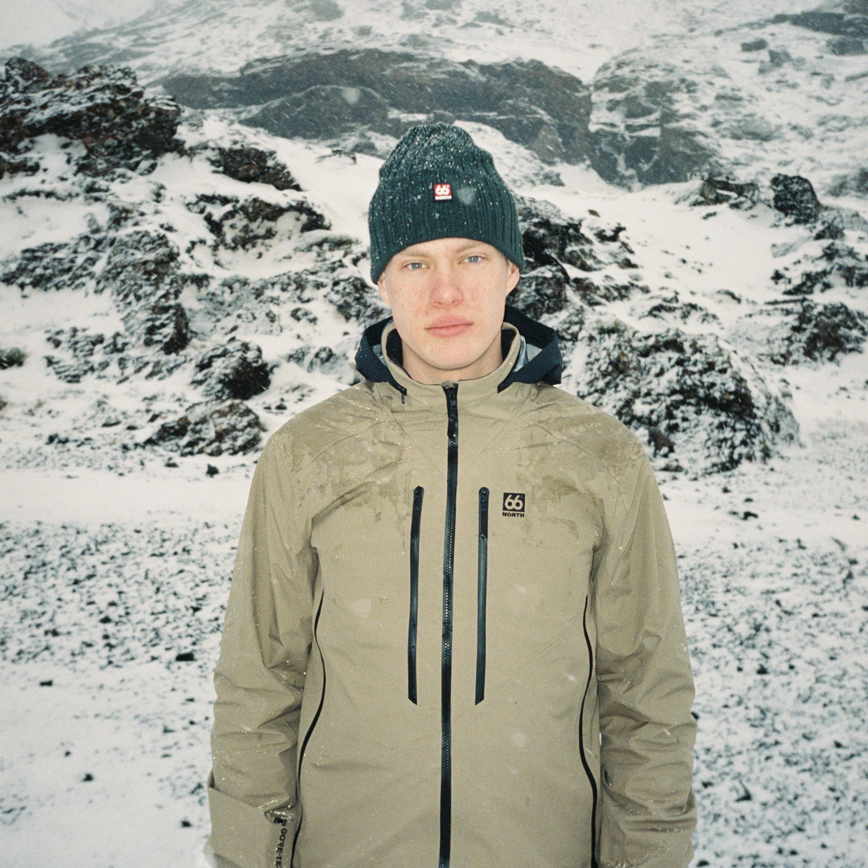 Ljósufjöll Brown Birch Bolete