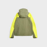 Hornstrandir  Alchemilla