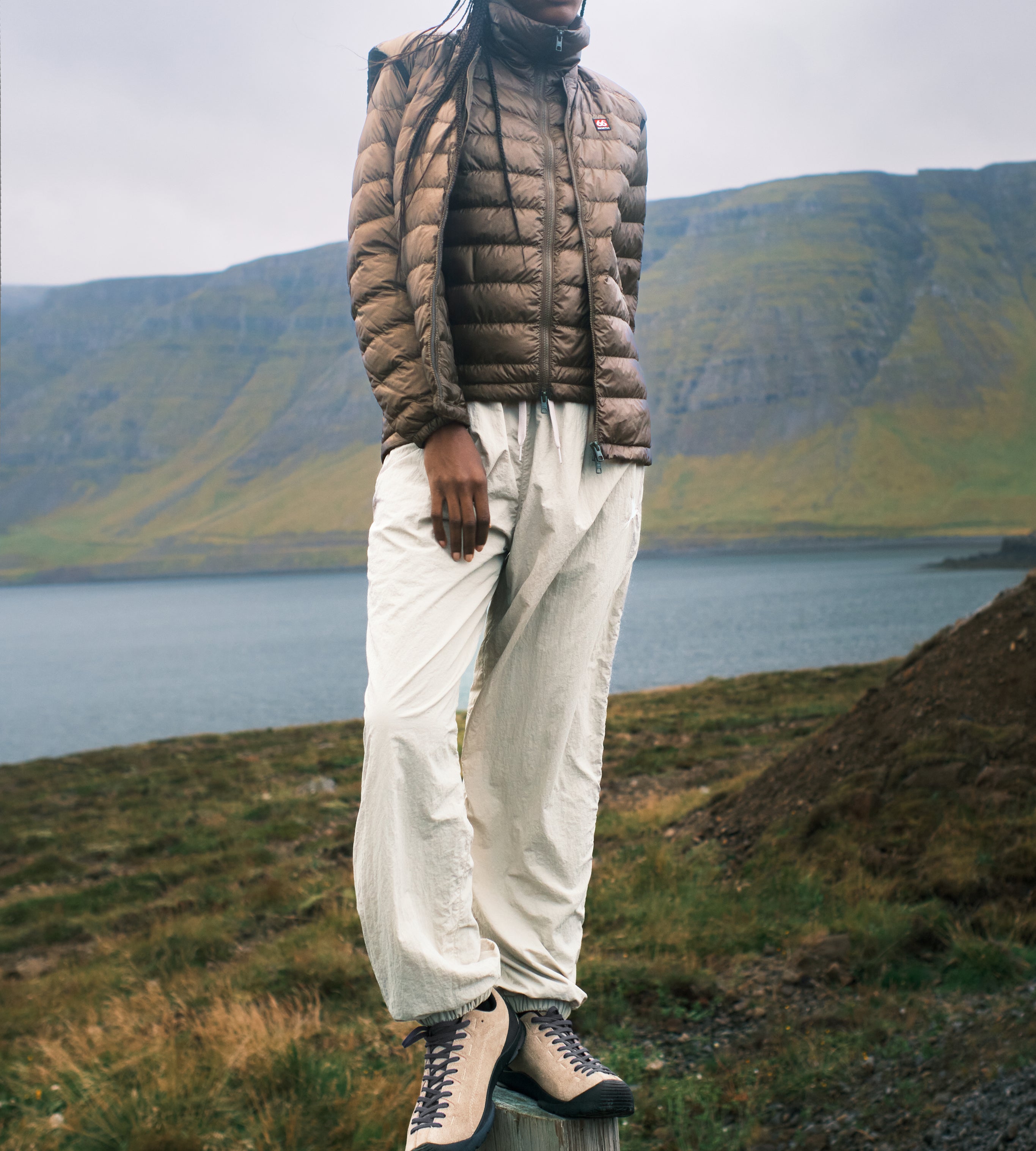 Person standing on a log with mountains and water in the background